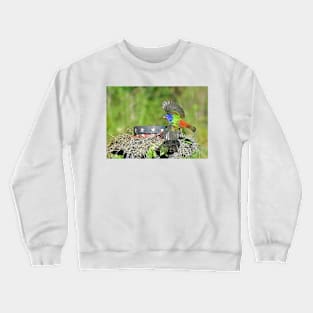 Painted Bunting Bird in Flight Crewneck Sweatshirt